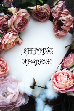 Shipping Upgrade Token